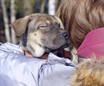 ����. ����� ������. ����� ���!!! :)))