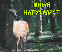 ���� ����������