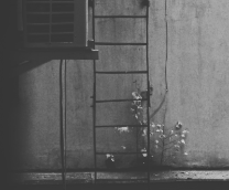 ������ ������, �����, �����... ��������� ���