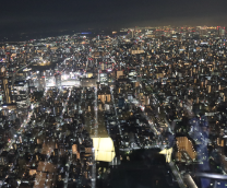 ����������-������-�����-�����-������-������-���)