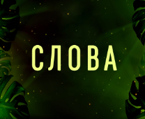 Монстера - тексты песен