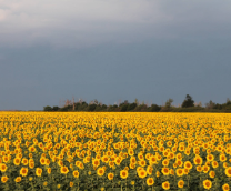 ��, ��� �������� ��� (�� ������ �������� ����))