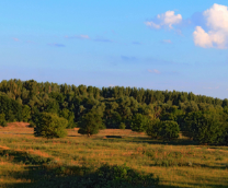 ����, ����, ���� � �����.