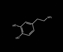 ����� ��� ������