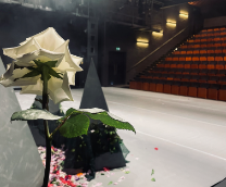 �������� ������� � ����������� �����������