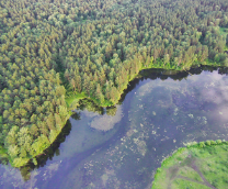 ������� ������������ ������