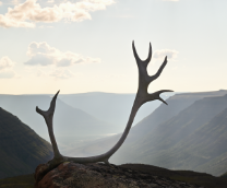 ��������������� ����� ������, ������� �������